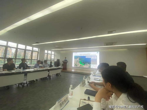 讓科技服務成為科技創新的助燃劑——信息技術咨詢服務的價值與路徑